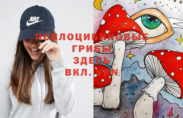 первитин Верхний Тагил